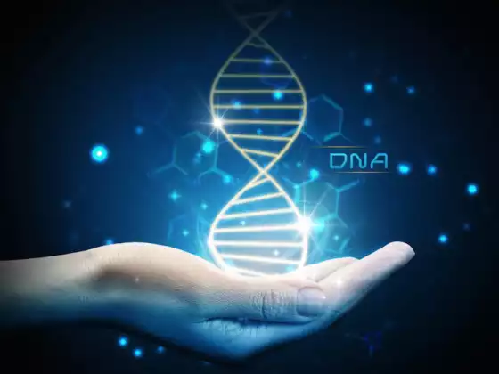 Healing Your Ancestral Lineage: Getting Started