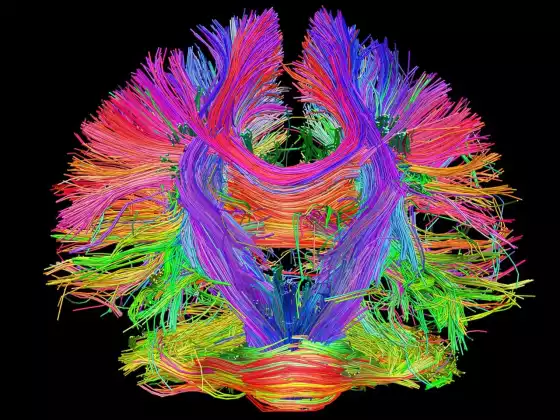 Favoriser votre intuition et votre flux : utiliser la science curative de la nature et la psychologie du design d'intérieur