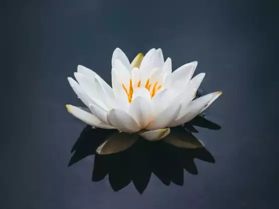 Travaillez votre karma pour que votre vie fonctionne pour vous