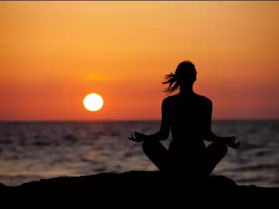 Giới thiệu về Dòng dõi ánh sáng