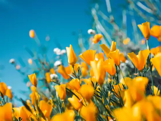 Energy Healing for the Equinox