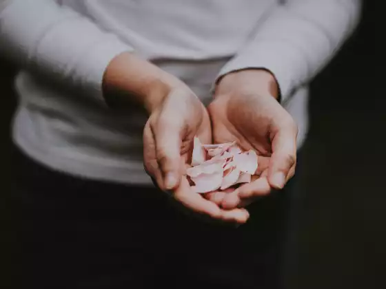 Perguntas e Respostas do Reiki Nível 1