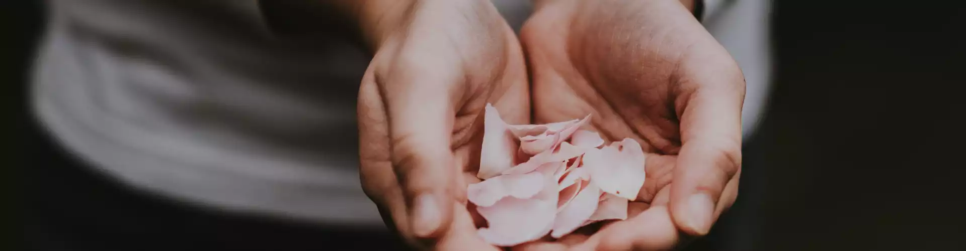 Perguntas e Respostas do Reiki Nível 1 - Online Class by Jamie Butler