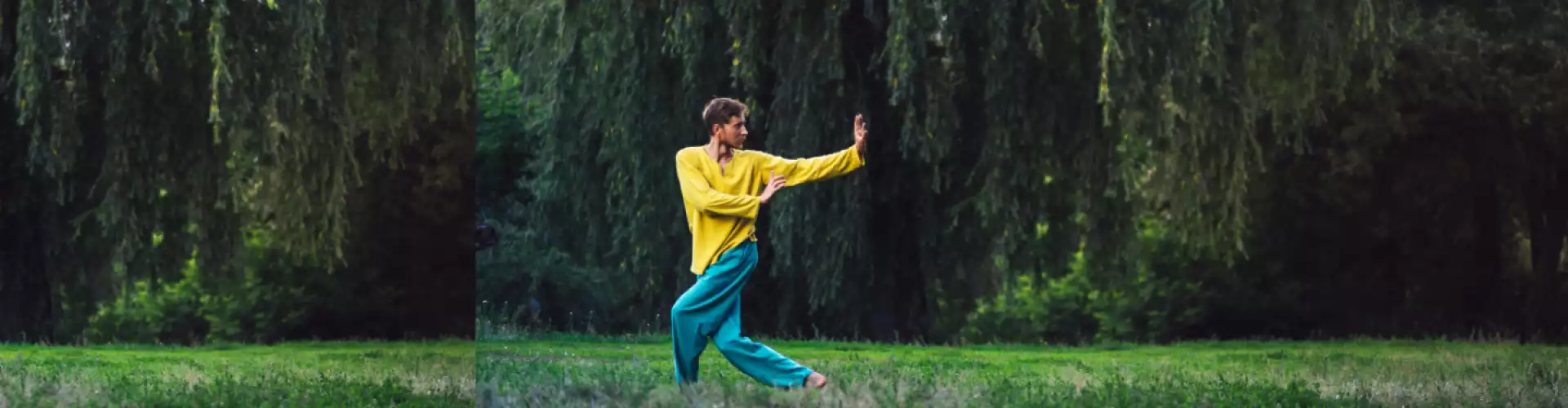 Gyengéd Qigong - Online Class by Cassaundra Paolini