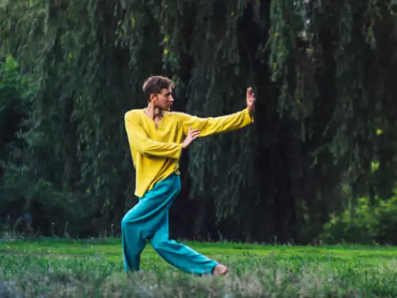 Gyengéd Qigong