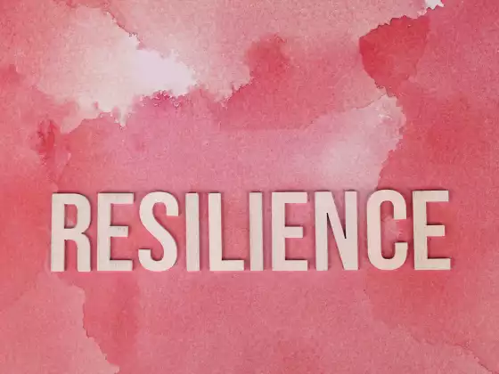 Domains of Resilience