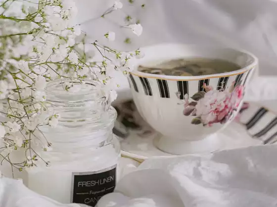 Trance 与 Grace 进行了问答环节