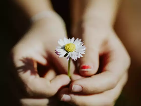 Reiki Healers Support Group