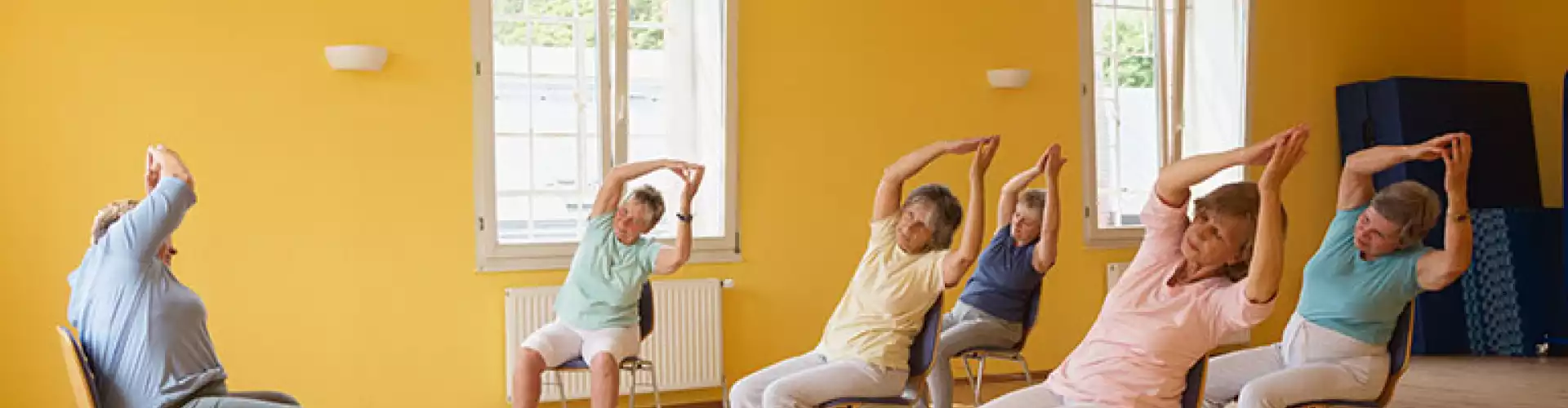 Silla Yoga & Qigong - Nervio Vago - Online Class by Stephanie Brail
