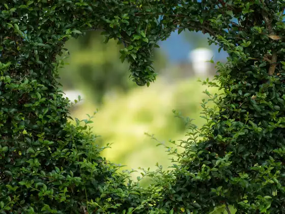 Yoga Prānāyāma to Open Your Heart Chakra