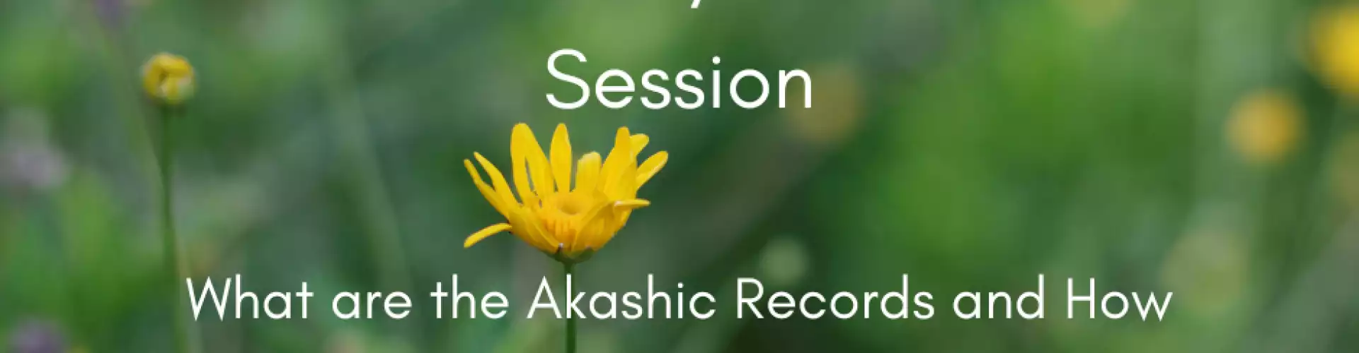 Введение в Хроники Акаши - Online Class by Kevin Jackson