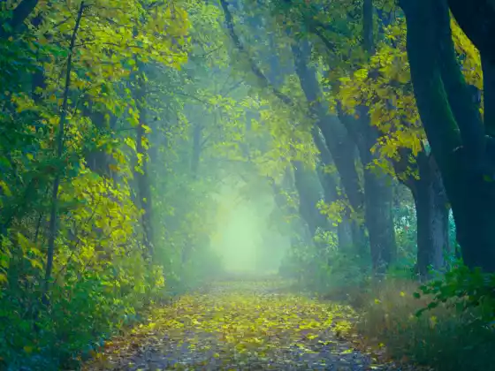 November Meditation Exploration