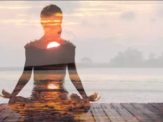 High Vibration Living: Leaders Bridging Inner & Outer Peace