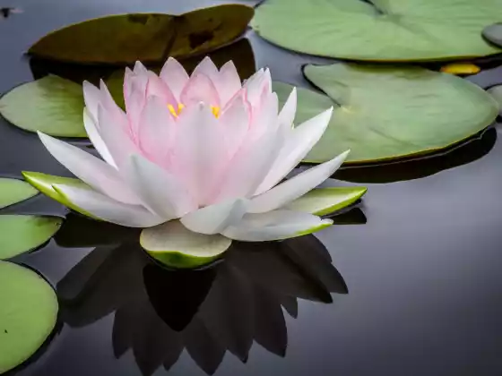 Fragen und Antworten zu Reiki Level 2