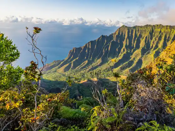Introduction to Ho'oponopono: It's More Than You Think