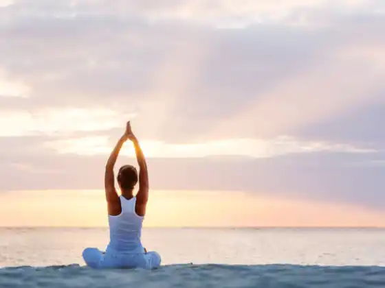 Module 11 (Subtle Anatomy) - 200 HR Yoga Teacher Training