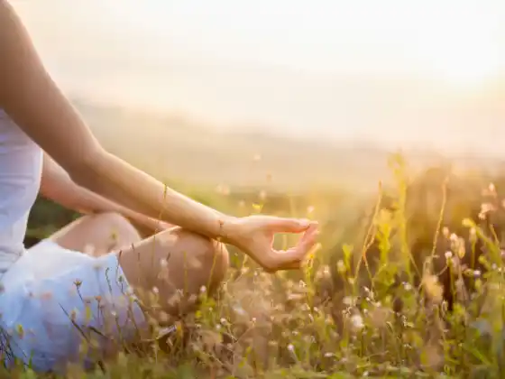 Module 14 (7 Spiritual Laws) - 200 HR Yoga Teacher Training