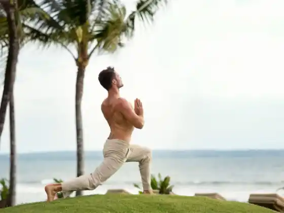 Module 10 (Anatomy) - 200 HR Yoga Teacher Training