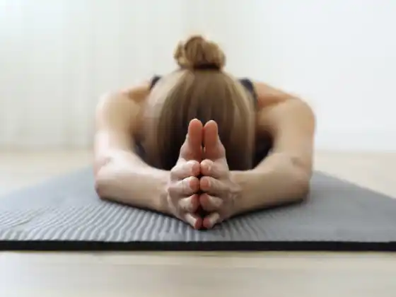Module 1 (Yoga) - 200 HR Yoga Teacher Training