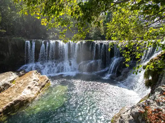 Energy Healing for Detox and Q&A with Hippocrates 