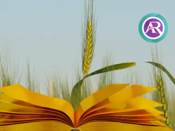 Manifest Abundance and Client Growth in Your Akashic Records Consultation Practice Pro Masterclass