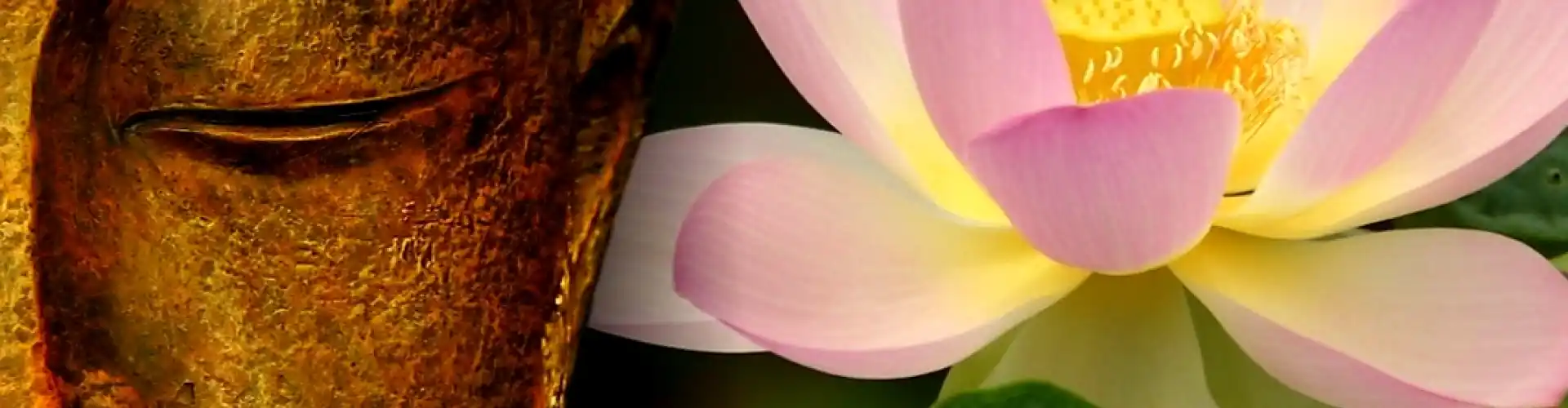 Reiki Level Two  - Online Class by Cassaundra Paolini