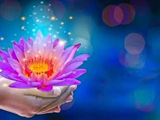 Akhir Pekan Master Reiki Level 3